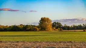 Zachód słońca w Maciejkach, niedaleko Mazur - zdjęcie 20