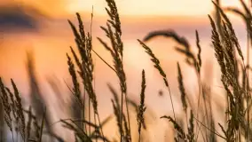 Zachód słońca nad jeziorem Dargin, wrzesień 2022 - zdjęcie 11