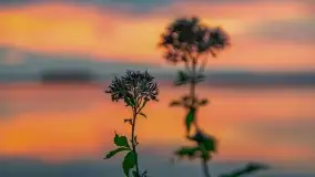 Zachód słońca nad jeziorem Dargin, wrzesień 2022 - zdjęcie 28