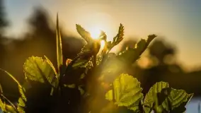 Zachód słońca nad jeziorem Dejgunek - zdjęcie 21