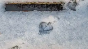 Pierwszy śnieg już za nami... Bocianie Gniazdo w Rynie - zdjęcie 30