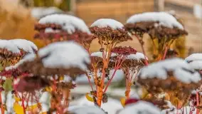 Pierwszy śnieg już za nami... Bocianie Gniazdo w Rynie - zdjęcie 17