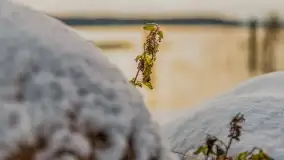 Pierwszy śnieg już za nami... Bocianie Gniazdo w Rynie - zdjęcie 25