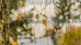 Pierwszy śnieg już za nami... Bocianie Gniazdo w Rynie - zdjęcie 32