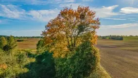 Kolory wrześniowych Mazur - zdjęcie 25