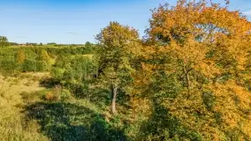 Kolory wrześniowych Mazur - zdjęcie 36