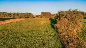 Kolory wrześniowych Mazur - zdjęcie 82