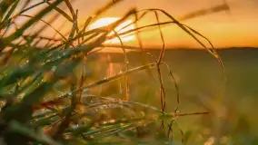 Kolory wrześniowych Mazur - zdjęcie 39