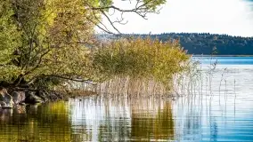 Kolory wrześniowych Mazur - zdjęcie 60