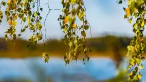 Kolory wrześniowych Mazur - zdjęcie 66