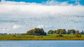 Kolory wrześniowych Mazur - zdjęcie 74