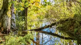 Kolory wrześniowych Mazur - zdjęcie 68