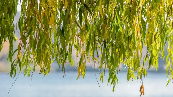 Jesienny Kętrzyn, październik 2022 - zdjęcie 6