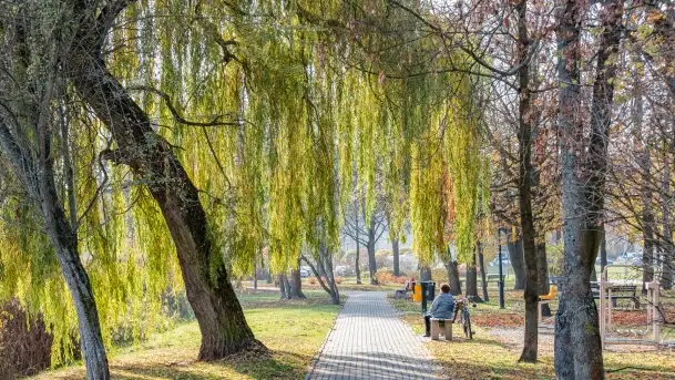 Jesienny Kętrzyn, październik 2022 - zdjęcie 1