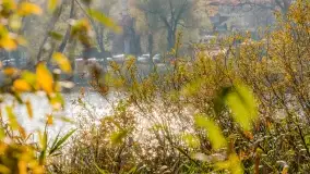 Jesienny Kętrzyn, październik 2022 - zdjęcie 24