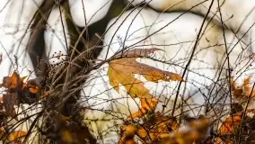 Jesienny Kętrzyn, październik 2022 - zdjęcie 15