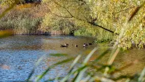 Jesienny Kętrzyn, październik 2022 - zdjęcie 16