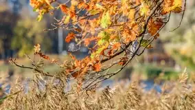 Jesienny Kętrzyn, październik 2022 - zdjęcie 34