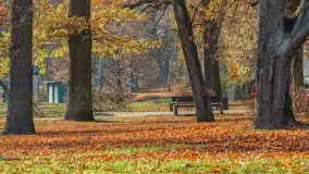 Jesienny Kętrzyn, październik 2022 - zdjęcie 49