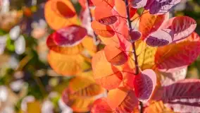 Jesienny Kętrzyn, październik 2022 - zdjęcie 38