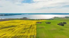 Rzepakowe pola, przypominamy żółty kolor Mazur - zdjęcie 40