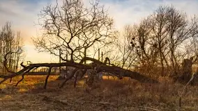 Mazurski zachód słońca, luty 2020 - zdjęcie 16