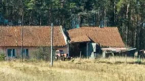 Mazurski las u progu wiosny, marzec 2020 - zdjęcie 28