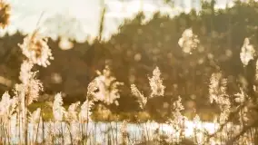 Mazurski las u progu wiosny, marzec 2020 - zdjęcie 36