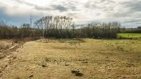 Końcówka zimy 2021, zdjęcia z drona - zdjęcie 6