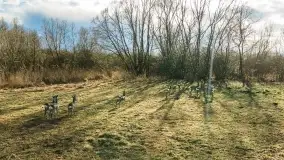 Końcówka zimy 2021, zdjęcia z drona - zdjęcie 21