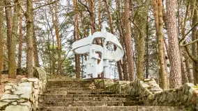 Przedwiośnie na mazurskich polach i łąkach, marzec 2021 - zdjęcie 49