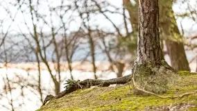 Przedwiośnie na mazurskich polach i łąkach, marzec 2021 - zdjęcie 28