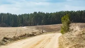 Przedwiośnie na mazurskich polach i łąkach, marzec 2021 - zdjęcie 13