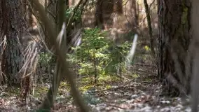 Przedwiośnie na mazurskich polach i łąkach, marzec 2021 - zdjęcie 33