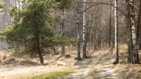 Przedwiośnie na mazurskich polach i łąkach, marzec 2021 - zdjęcie 53