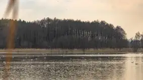 Przedwiośnie na mazurskich polach i łąkach, marzec 2021 - zdjęcie 35