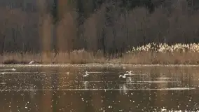 Przedwiośnie na mazurskich polach i łąkach, marzec 2021 - zdjęcie 69