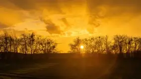 Przedwiośnie na mazurskich polach i łąkach, marzec 2021 - zdjęcie 66