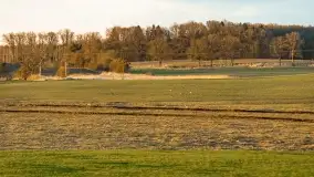 Przedwiośnie na mazurskich polach i łąkach, marzec 2021 - zdjęcie 59