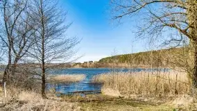 Początki wiosny 2022, leśne krajobrazy - zdjęcie 36