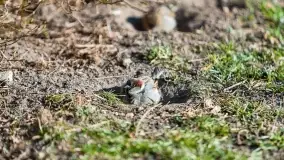 Początki wiosny 2022, leśne krajobrazy - zdjęcie 30