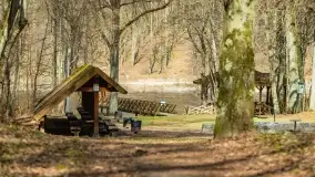 Początki wiosny 2022, leśne krajobrazy - zdjęcie 22