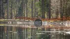 Początki wiosny 2022, leśne krajobrazy - zdjęcie 35