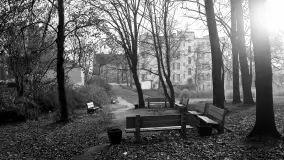 Cień historii, czasy PRL (1945-1989) - Giżycko - zdjęcie 266