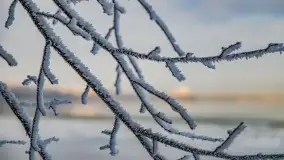 Bajkowe i zimowe klimaty nad jeziorem Dargin, grudzień 2022 - zdjęcie 29