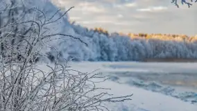 Bajkowe i zimowe klimaty nad jeziorem Dargin, grudzień 2022 - zdjęcie 7