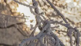 Bajkowe i zimowe klimaty nad jeziorem Dargin, grudzień 2022 - zdjęcie 32