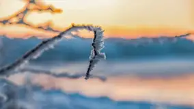 Bajkowe i zimowe klimaty nad jeziorem Dargin, grudzień 2022 - zdjęcie 73