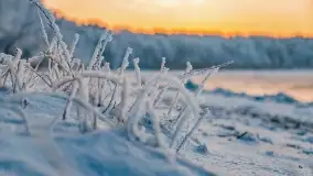 Bajkowe i zimowe klimaty nad jeziorem Dargin, grudzień 2022 - zdjęcie 66