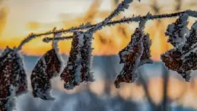 Bajkowe i zimowe klimaty nad jeziorem Dargin, grudzień 2022 - zdjęcie 52